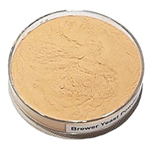 super brewers yeast