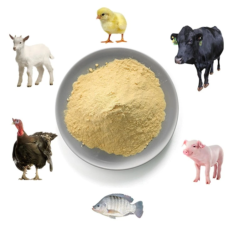 dry yeast for animal feed