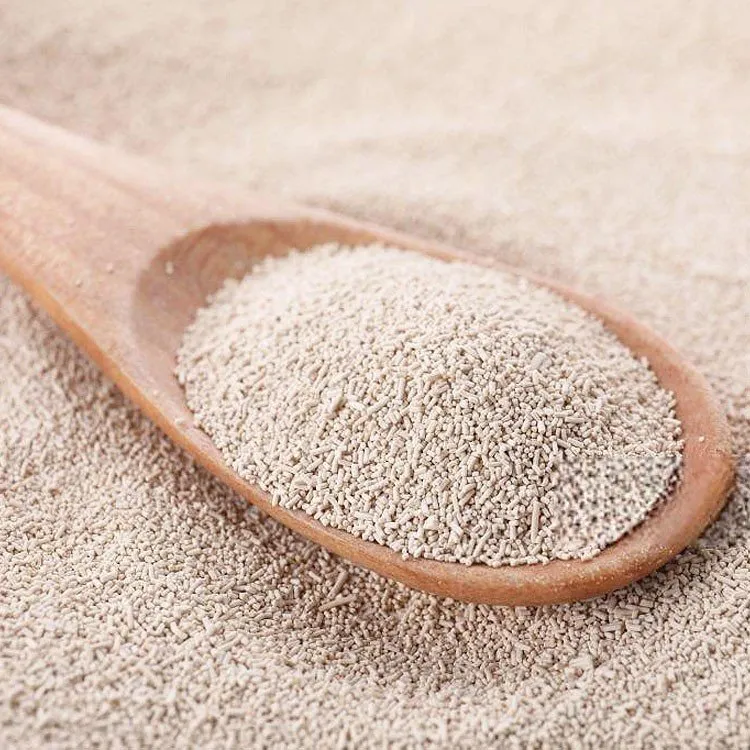 neapolitan pizza dough active dry yeast
